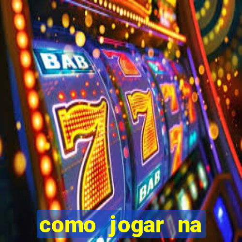 como jogar na seninha online